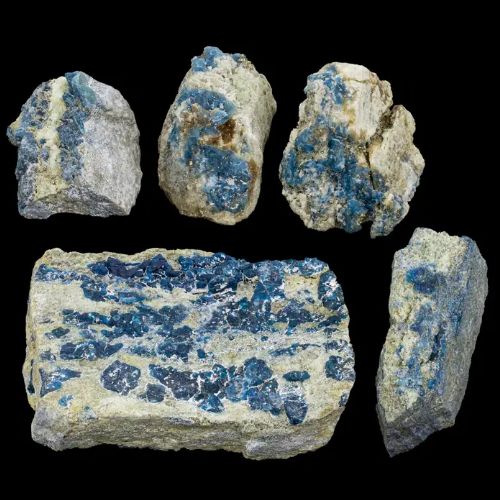 Lazurite w/ Pyrite Muscovite Calcite in Matrix Specimen