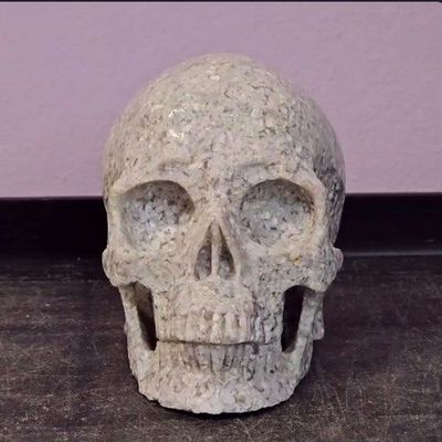 Coral Fossil Skull 5" / 1056g by Skullis