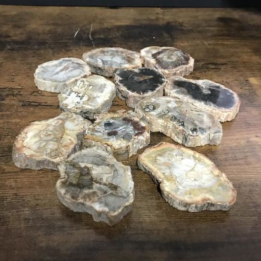 Petrified Wood Slabs .5" thick priced by weight, Size: 46-68g