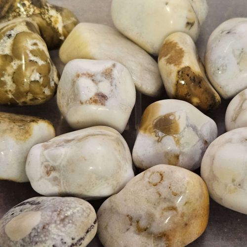 Jasper King Cobra Tumbled Stone .75"-1"