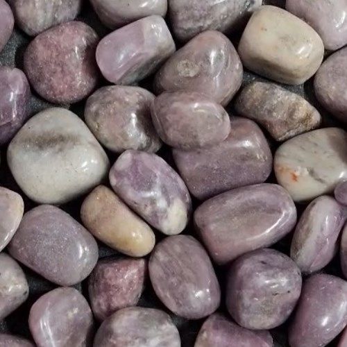 Lepidolite Tumbled Stone .75"-1"