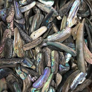 Abalone Shell Pieces .5"-1"