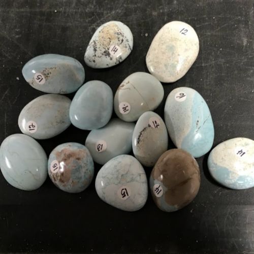 Turquoise Madagascar Palm Stone 1.5&quot;-2&quot;