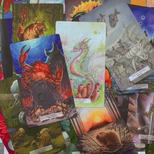 78 Tarot Animal Collaborative Limited Edition Deck, Type: No Book