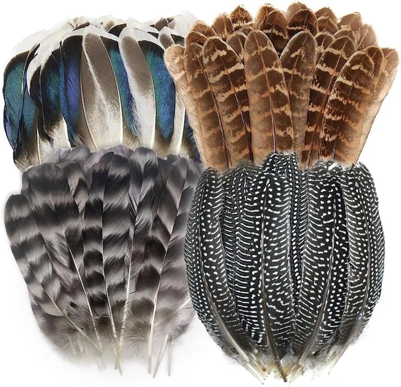 Feathers - Natural assorted