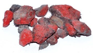 Lodestone Red Rough Stone Pre-Packaged