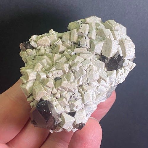 Specimen Assorted Lot (CM#1) - Select