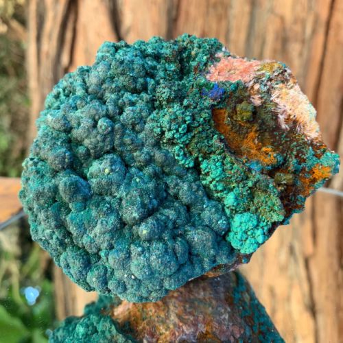 Malachite Botryoidal Specimen 9.5cm | 890g