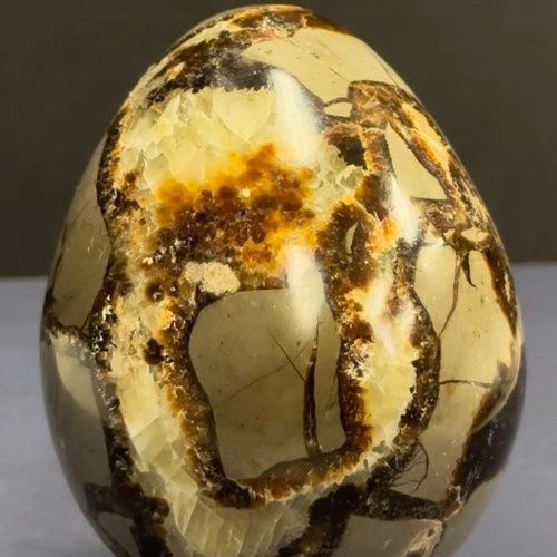 Septarian Dragon Egg - Select