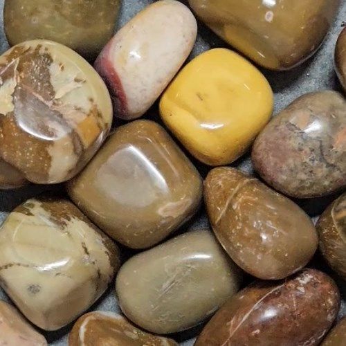 Petrified Wood Red Tumbled Stone 1&quot;-1.5&quot;