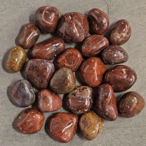 Petrified Wood Red Tumbled Stone .75&quot;-1&quot;