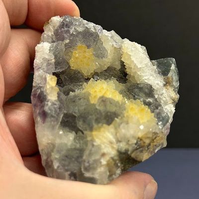 Specimen Assorted Lot #2 (CM) - Select