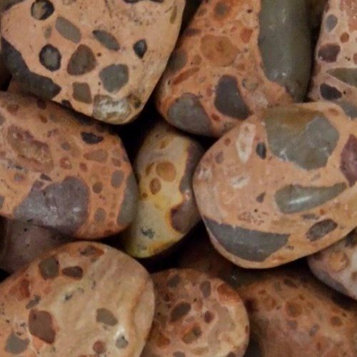 Jasper Leopardskin aka Rhyolite Tumbled Stone Matte finish 1.5&quot;-2&quot;