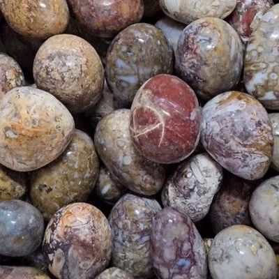 Jasper Plum Tumbled Stone 1"-1.25"