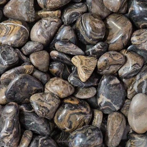Stromatolite  Tumbled Stone .75&quot;-1.25&quot;
