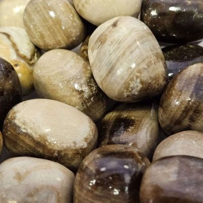 Calcite Chocolate Tumbled Stone Grade A .75"-1"