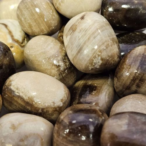 Calcite Chocolate Tumbled Stone Grade A .75&quot;-1&quot;