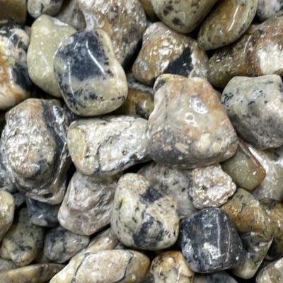 Opal Dendritic Tumbled Stone 1"-1.25"