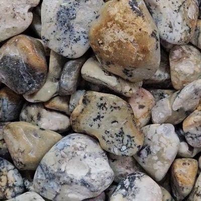 Opal Dendritic Tumbled Stone 1"-1.25"