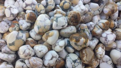 Agate Spotted Tumbled Stone .75"-1"