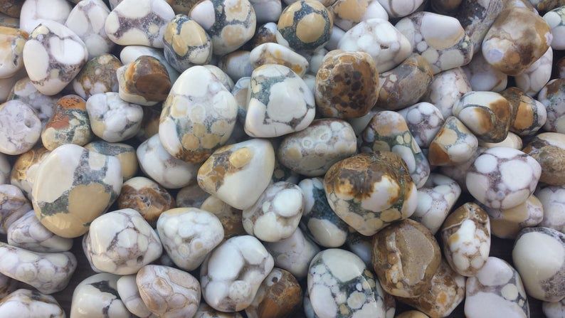 Agate Spotted Tumbled Stone .75&quot;-1&quot;