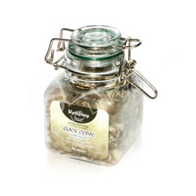 Resin Incense Jar by Harmonia Asst