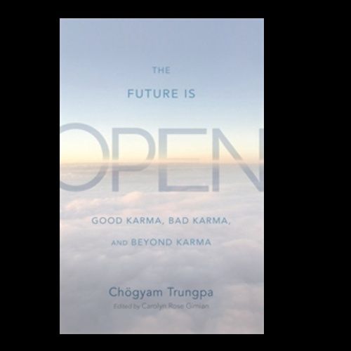 Future Is Open: Good Karma, Bad Karma, and Beyond Karma