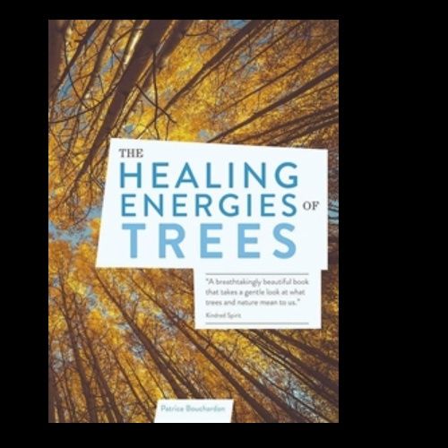 Healing Energies Of Trees