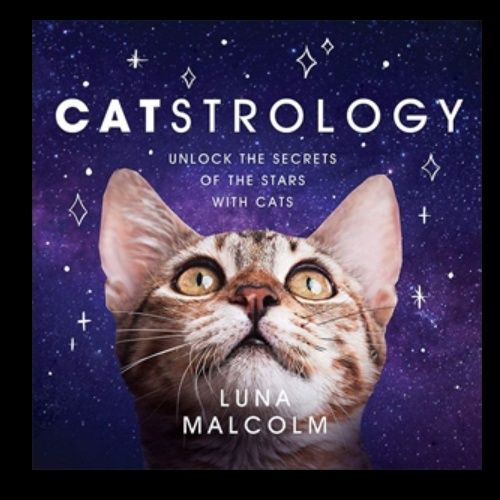 Catstrology: Unlock The Secrets Of The Stars With Cats