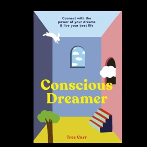 Conscious Dreamer