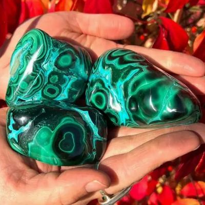 Malachite Chrysocolla Freeform