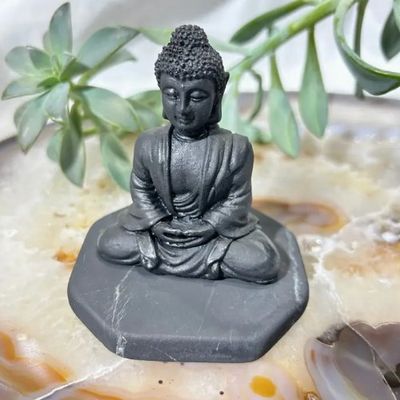 Shungite Gemstone Carvings - Select