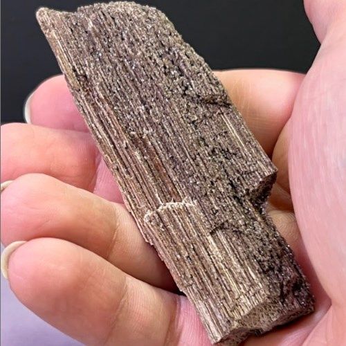 Permineralized Fossil Wood w/ Quartz Layered Rare Specimen - Select
