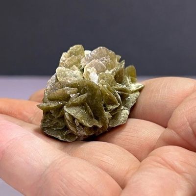 Siderite 'Potato Chip' Specimen - Select