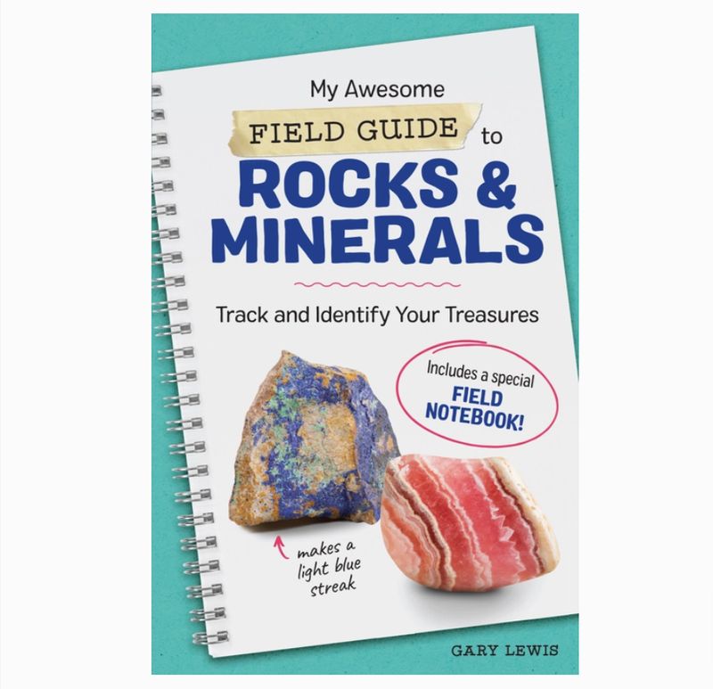 My Awesome Field Guide to Rocks and Minerals