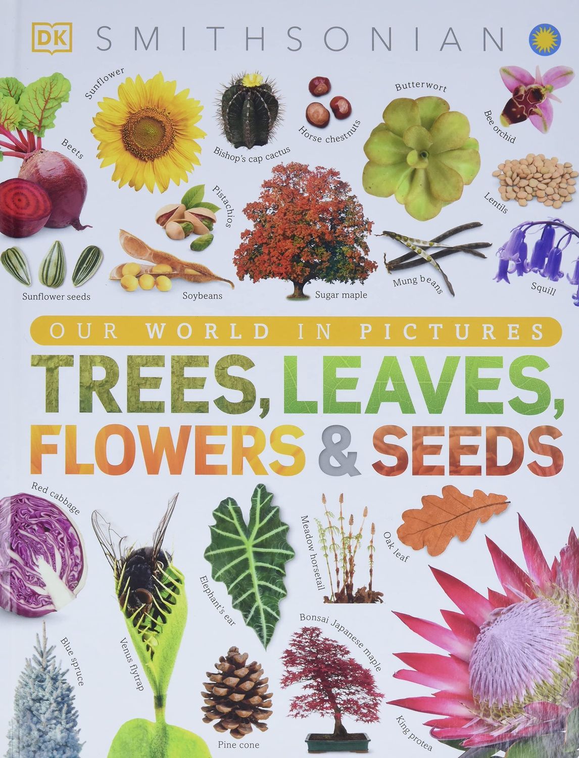 Trees, Leaves, Flowers and Seeds (hardcover)