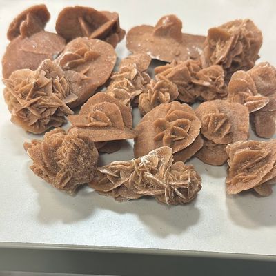 Desert Rose Brown Rough - Select