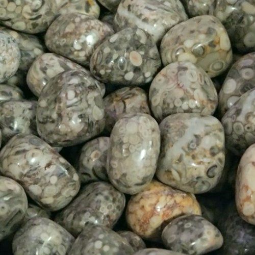 Jasper Leopardskin aka Rhyolite White Tumbled Stone .75"-1"