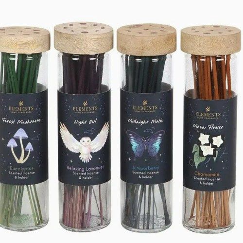 Midnight Forest Incense Sticks, Type: Forest Mushroom / Eucalyptus