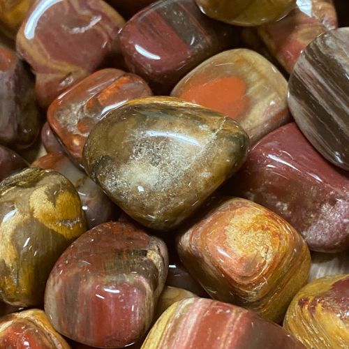 Petrified Wood Tumbled Stone 1&quot;-1.5&quot;