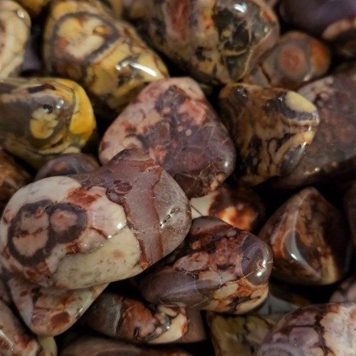 Rhyolite Bird&#39;s Eye Tumbled Stone 1&quot;-1.25&quot;