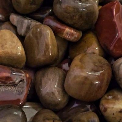 Petrified Wood Tumbled Stone .75"-1.25"
