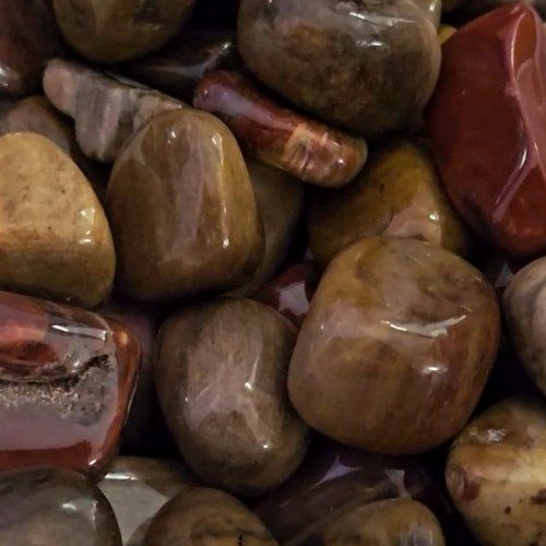 Petrified Wood Tumbled Stone .75&quot;-1.25&quot;