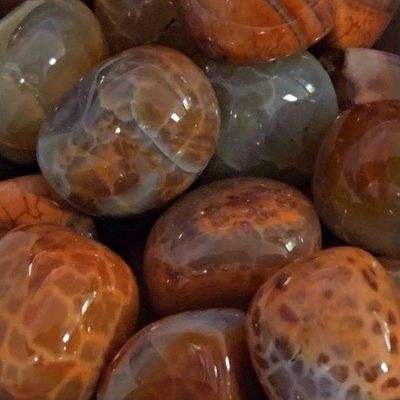 Agate Snakeskin Red Tumbled Stone 1"-1.25"