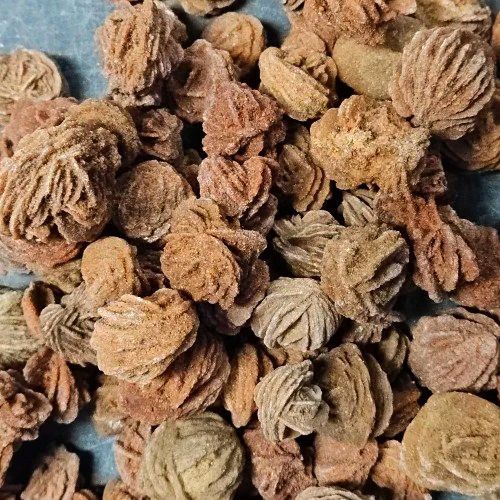 Desert Rose Walnut Shape .75&quot;-1.5&quot;