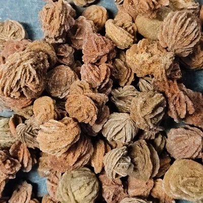 Desert Rose Walnut Shape .75"-1.5"