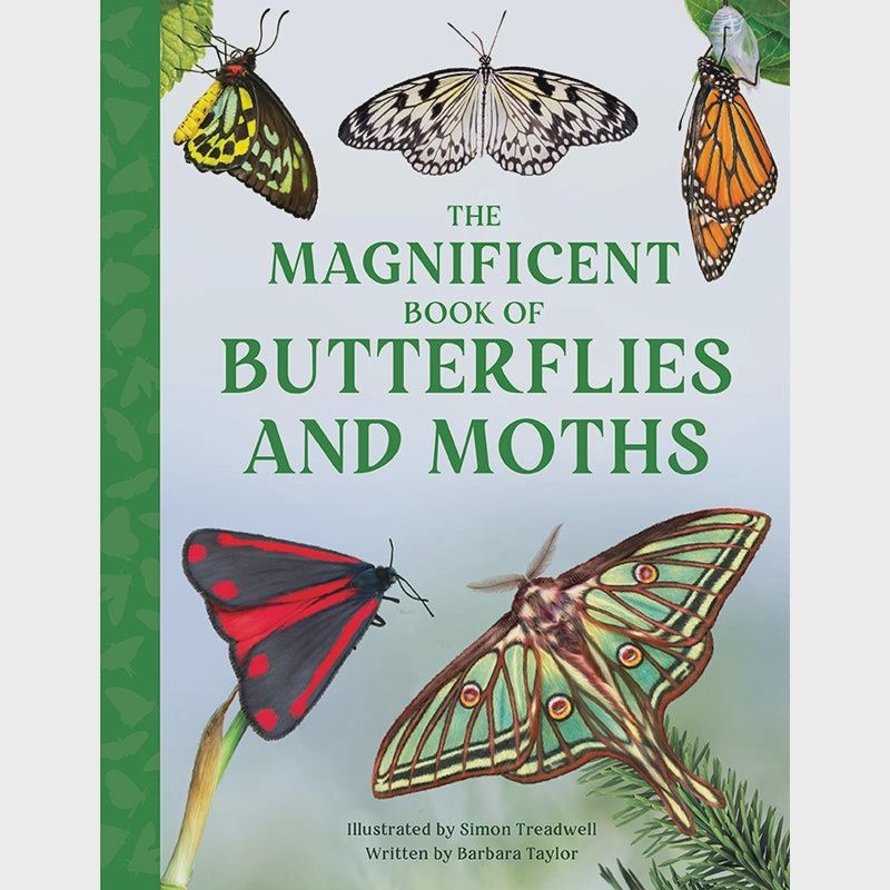 Magnificent Book of Butterflies and Moths