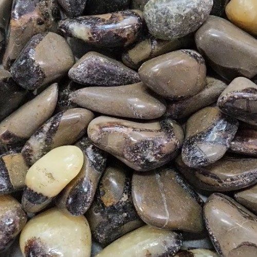 Septarian Tumbled Stone, Size: 1"-1.5"