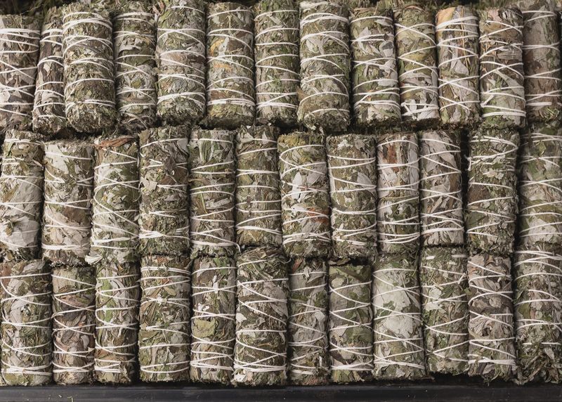 Smudge Wand - Mugwort aka Black Sage 3"-5"