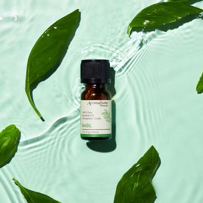 Basil Essential Oil | 100% Pure Aromatherapy Oil